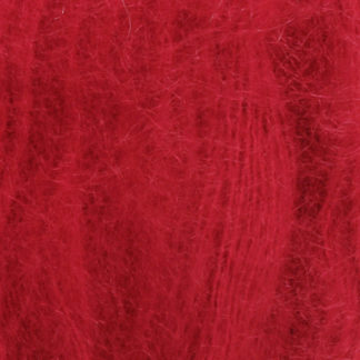 LACE ROT